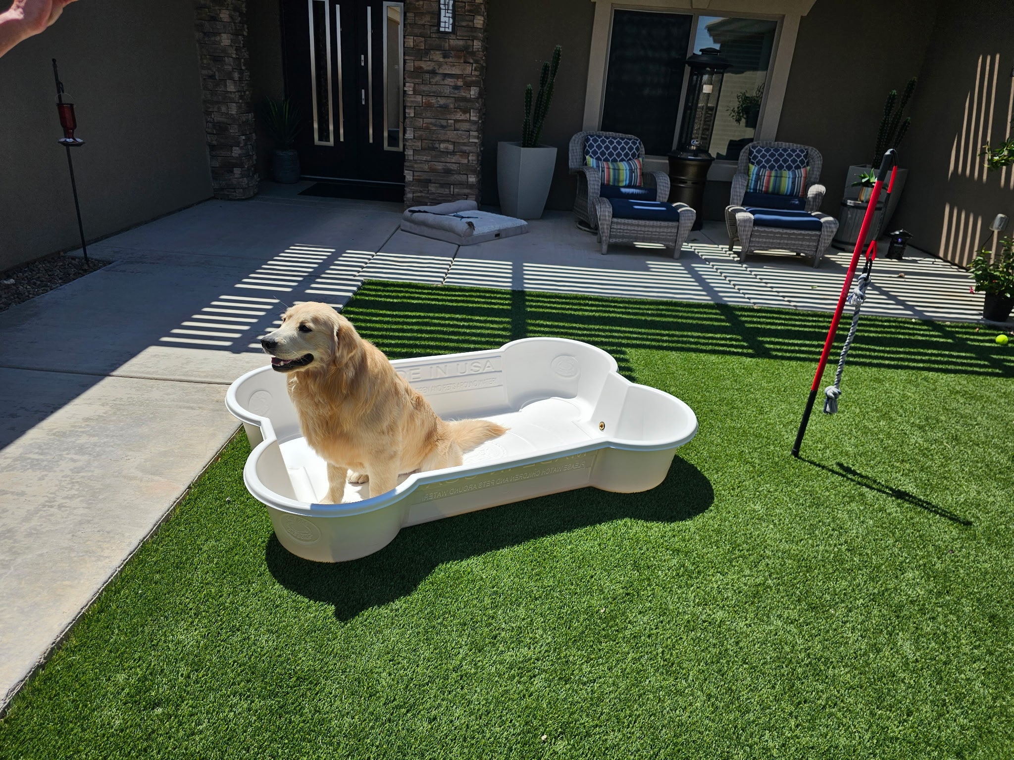 The Bone Pool