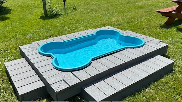 The Bone Pool