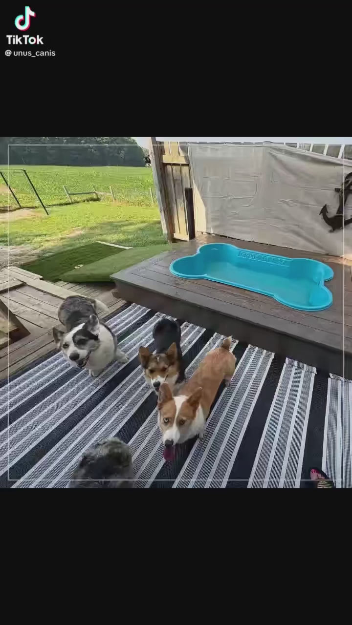 The Bone Pool